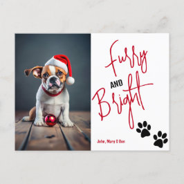 Furcht und Helle Haustiere Foto Weihnachten Rot