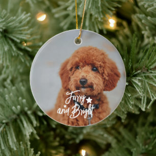 Furcht und Hund oder Katzen Foto Personalisiert Keramik Ornament