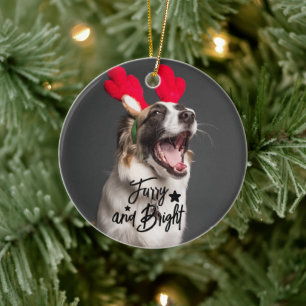 Furcht und Hund oder Katzen Foto Personalisiert Keramik Ornament