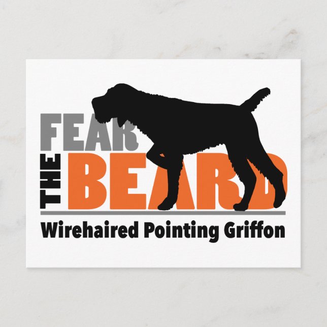 Furcht vor dem Bart - Drahthaar Pointing Griffon Postkarte (Vorderseite)