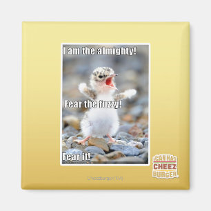 Fürchte den Schwindel! Magnet