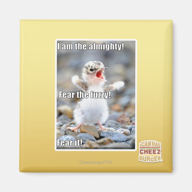 Fürchte den Schwindel! Magnet (Vorne)