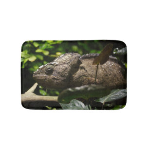 Furcifer oustaleti badematte