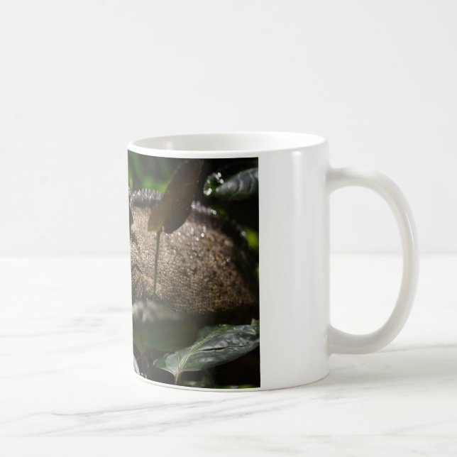 Furcifer oustaleti kaffeetasse (Rechts)