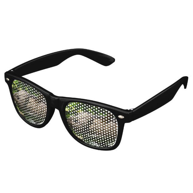 Furcifer oustaleti partybrille (Schrägansicht)