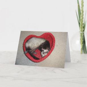 Furet dans la carte de Saint-Valentin de coeur