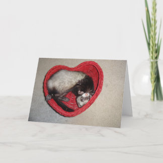 Furet dans la carte de Saint-Valentin de coeur