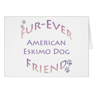Furever de chien Esquimau américain