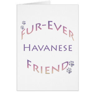 Furever Havanais