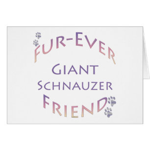 Furever Schnauzer géant