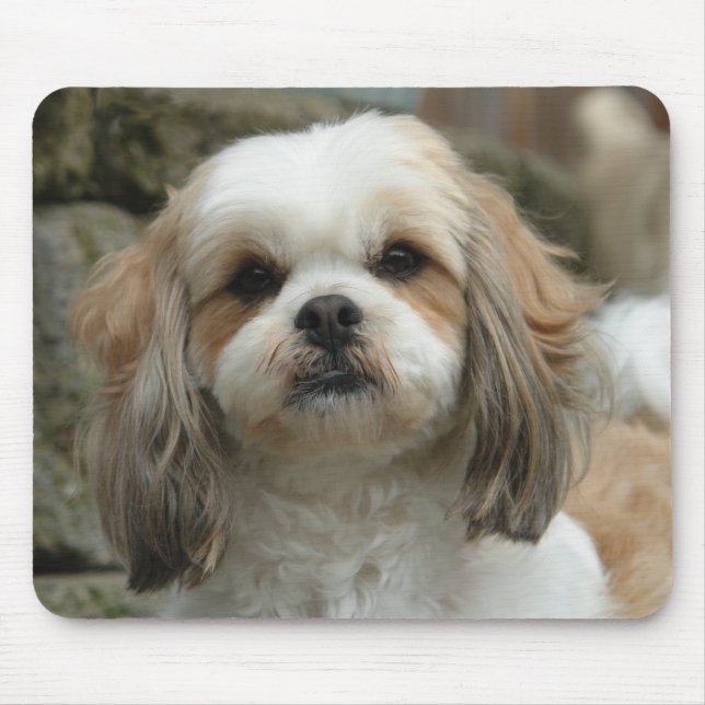 Furface Mausunterlage Mousepad (Vorne)