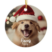 Furie + Bright mignon Chien Photo Ornement de Noël