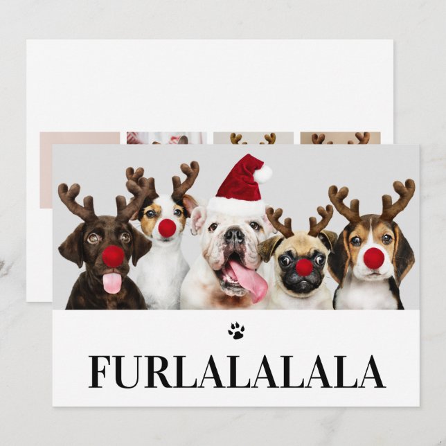 Furlalala Chien Noël 5 Carte photo (Devant / Derrière)