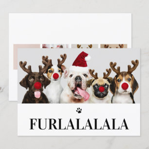 Furlalala Chien Noël 5 Carte photo