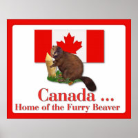 Furry Beaver Poster