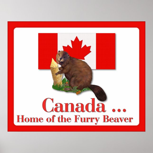 Furry Beaver Poster (Vorne)