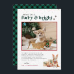 Furry & Bright | Foto-Karte für den Urlaub für Hau Einladung<br><div class="desc">Haustiere sind Teil der Familie und zweifellos verdienen sie einen Platz auf Ihren Weihnachtskarten! Mit einer lustigen Schrift und niedlichen Illustrationen ist diese Karte eine großartige Möglichkeit, die Freundschaft zu feiern, die Sie mit Ihrem wütenden Freund teilen. Fügen Sie diesem Design Ihre benutzerdefinierte Formulierung hinzu, indem Sie die Felder "Diese...</div>