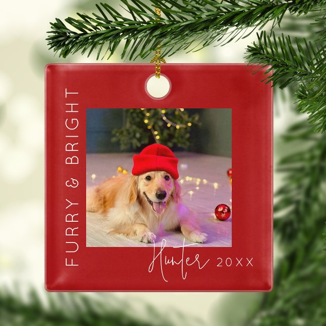 Furry & Bright | Foto Weihnachtsbaum Ornament Aus Metall (Von Creator hochgeladen)