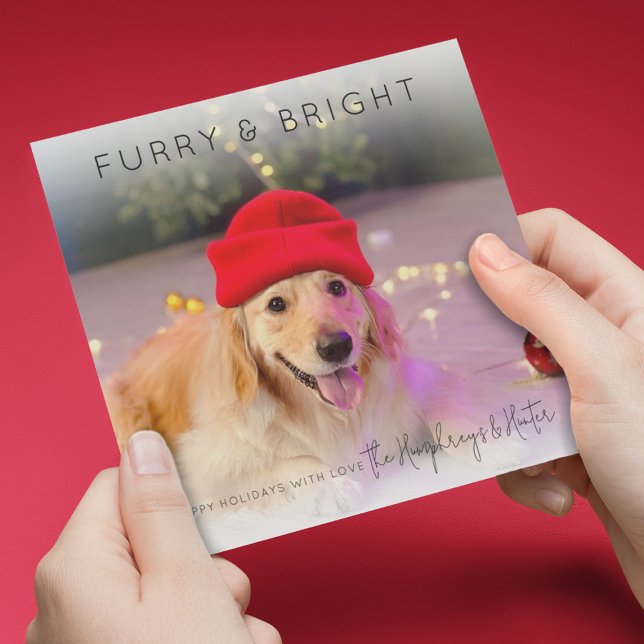 Furry & Bright | Foto Weihnachtskarte Feiertagskarte (Von Creator hochgeladen)