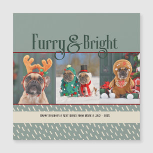 Furry & Bright Hund Weihnachts-Foto Weihnachtsfeie Magnetkarte