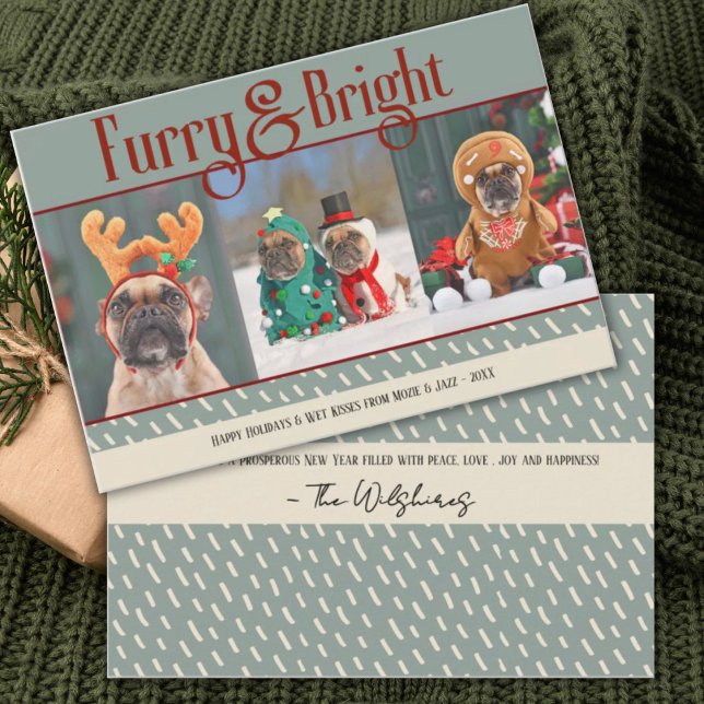 Furry & Bright Hund Weihnachts-Foto Weihnachtskart Dankeskarte (Von Creator hochgeladen)