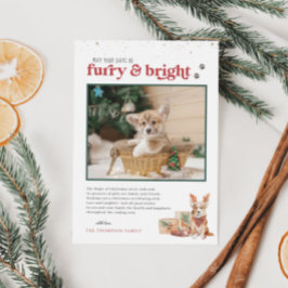 Furry & Bright | Pet Holiday Photo Card Einladung