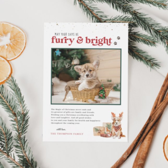 Furry & Bright | Pet Holiday Photo Card Einladung (Von Creator hochgeladen)