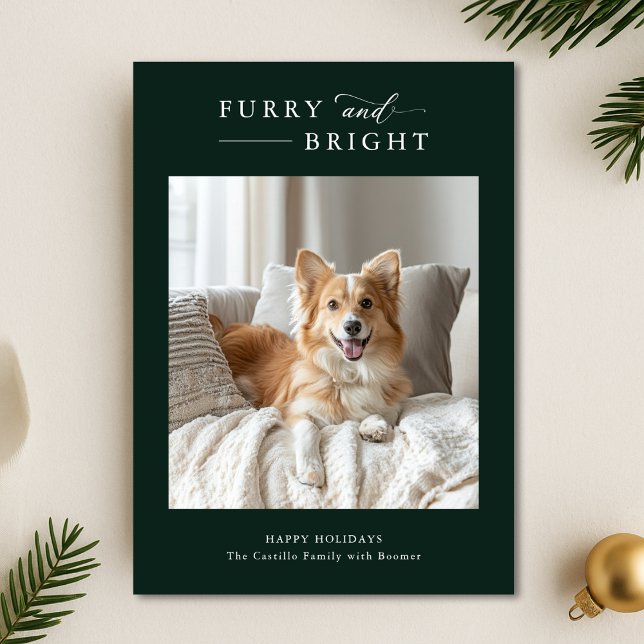 Furry & Bright Simple Dog Weihnachten 2 Foto Grün (Von Creator hochgeladen)