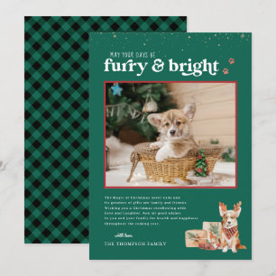Furry & Bright Weihnachtskarte für Haustiere Einladung