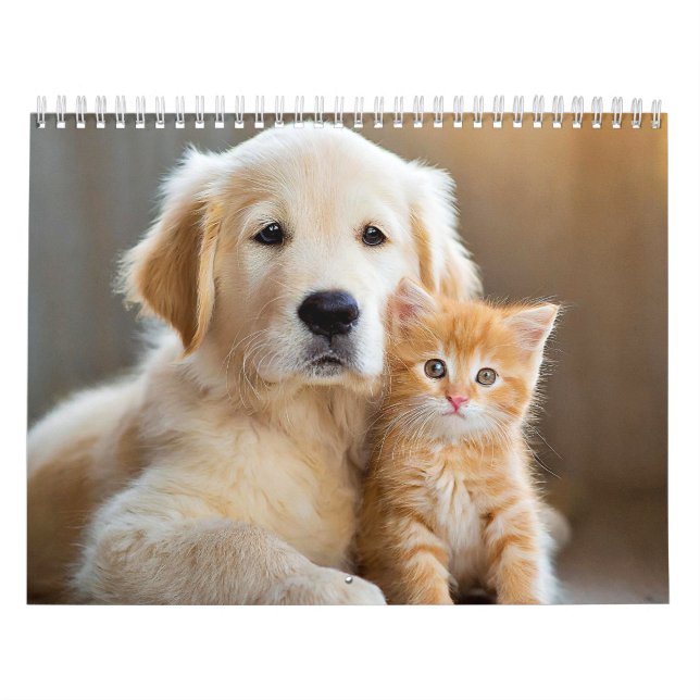 Furry Buddies Kalender (Titelbild)
