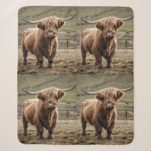 **"Furry Majestät: The Wooly Brown Highland Cow"** Sherpadecke