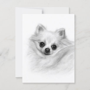 Furry Majesty - Original Hand bemalt Chihuahua Postkarte