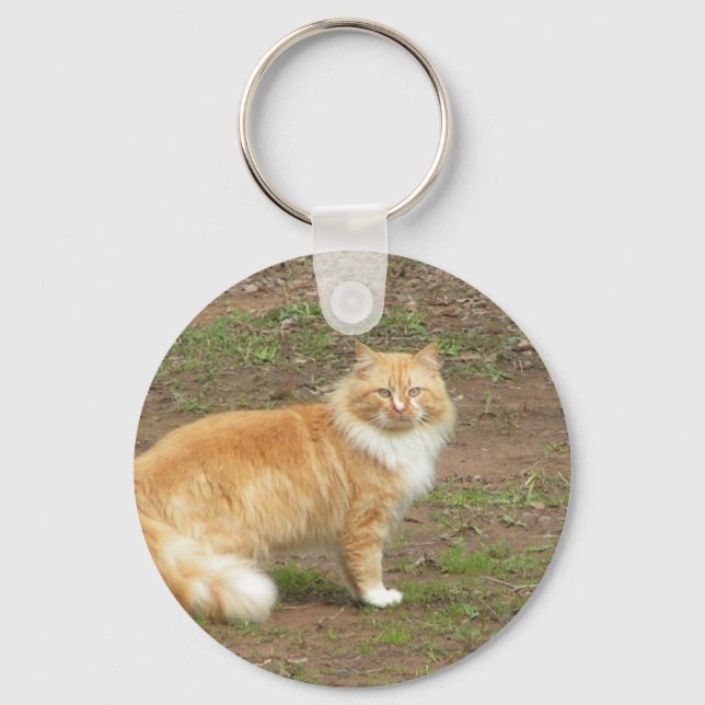 Furry Orange und Weiße Katze Schlüsselanhänger (Vorderseite)