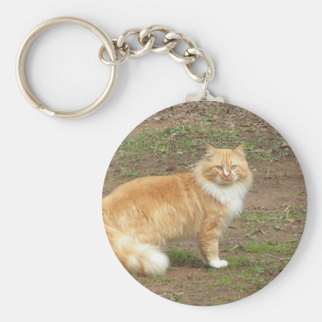 Furry Orange und Weiße Katze Schlüsselanhänger (Vorne)