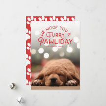Furry Pawliday | Foto von Haustieren