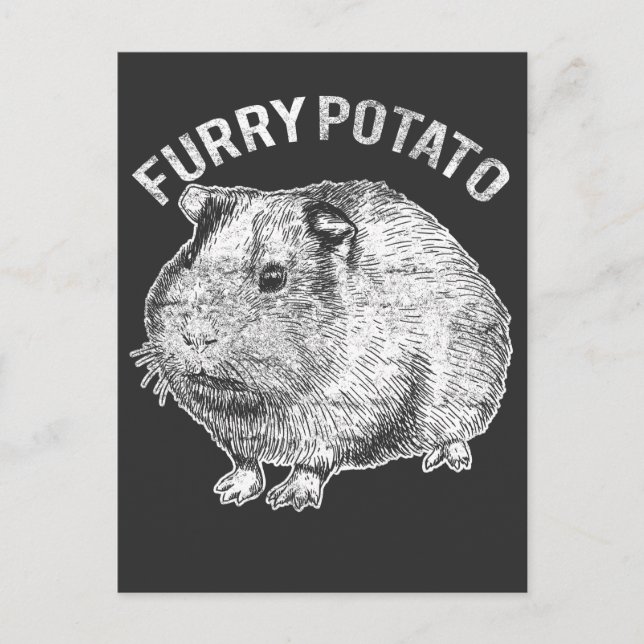 Furry Potato Niedlich Pet Guinea Pig Lover Postkarte (Vorderseite)