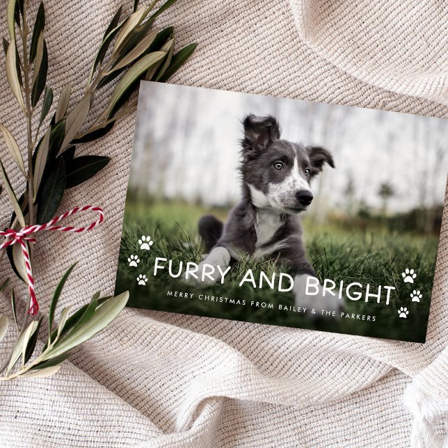 Furry und Bright | Weihnachtsgebäck vom Hund Magneteinladung (An adorable Christmas holiday photo card from your dog)