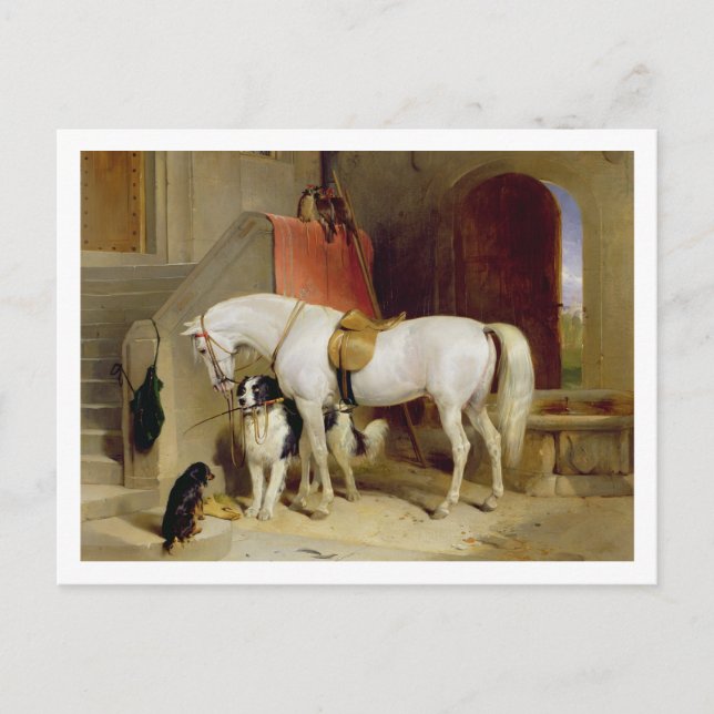 Fürst George's Favoriten (Öl auf Leinwand) Postkarte (Vorderseite)