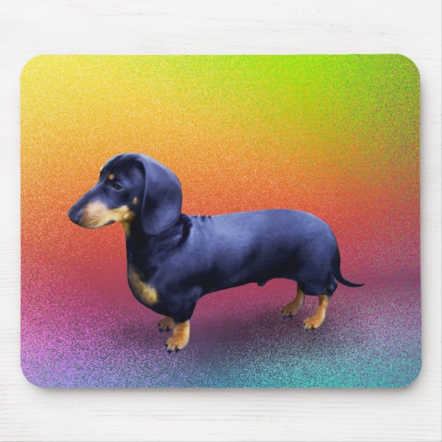 Fürstliche Dackel in einem Regenbogenmousepad Mousepad (Vorne)