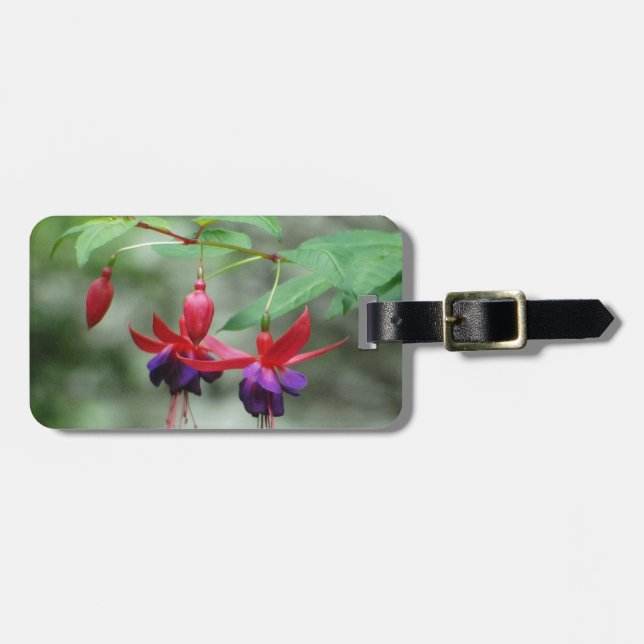Fuschia1A.jpg Gepäckanhänger (Vorderseite horizontal)