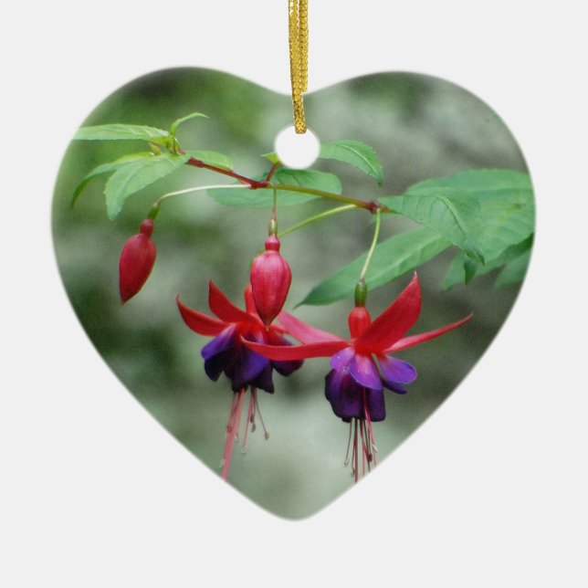 Fuschia1A.jpg Keramikornament (Vorne)