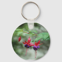 Fuschia1A.jpg