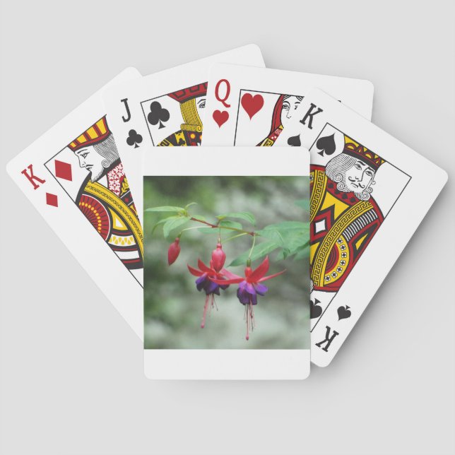 Fuschia1A.jpg Spielkarten (Rückseite)