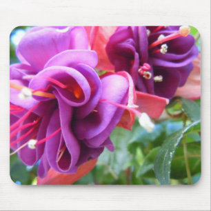 Fuschia Dio Mousepad