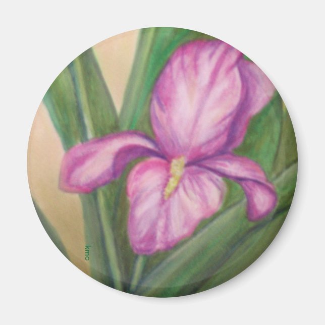 Fuschia-Iris-Magnet Magnet (Vorne)