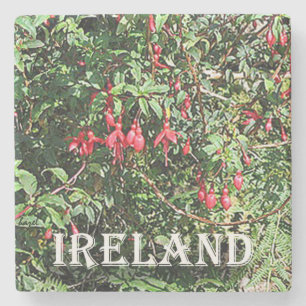 Fuschia, Irland, Marmorküstenmotorschiff Steinuntersetzer