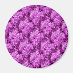 Fuschia Liebe.... Magnet