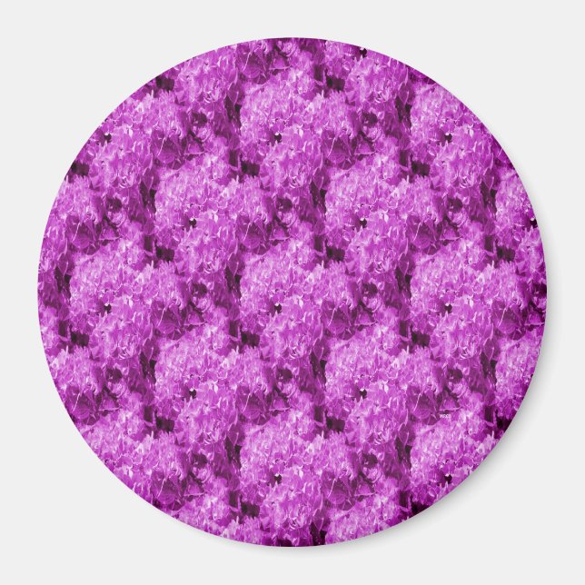 Fuschia Liebe.... Magnet (Vorne)