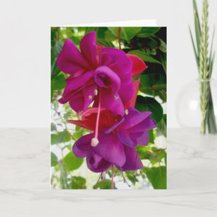 Fuschia Note Card Feiertagskarte