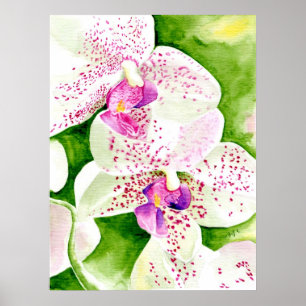 Fuschia Orchideen-Druck Poster